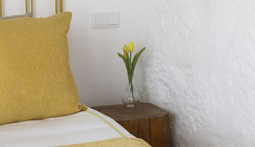 Traditional Double Room, Vineyard View