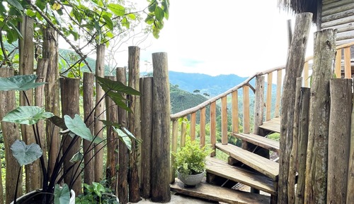 Standard Cabin, Mountain View, Mountainside