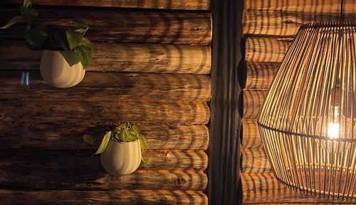 Standard Cabin, 1 Queen Bed, Mountain View, Mountainside