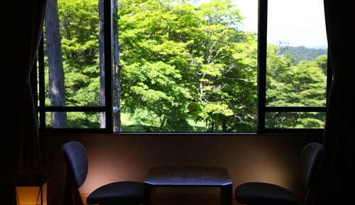 New Building - Superior Japanese-Style Room
