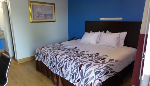 Comfort Single Room, 1 King Bed, Smoking