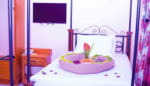 Family Studio Suite