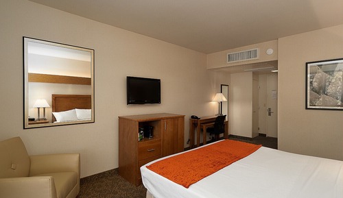 Single Room, 1 King Bed