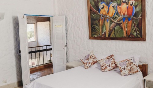 Suite Especial Creatividad