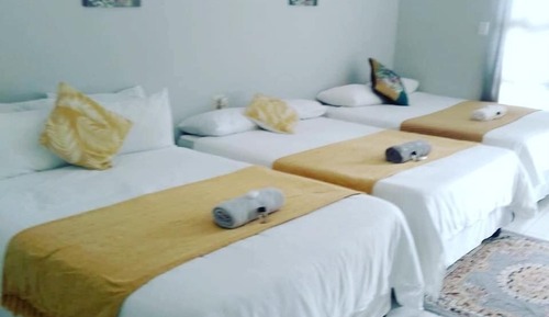 Deluxe Shared Dormitory