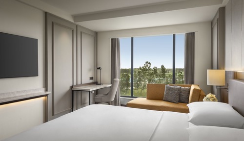 Room, 1 King Bed