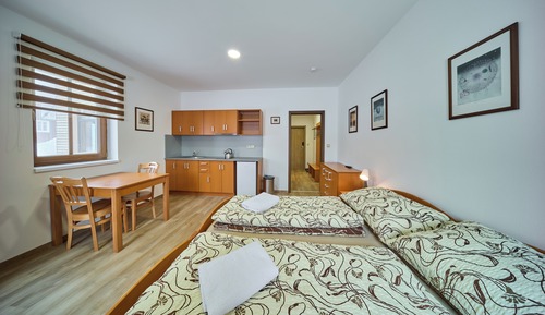 Standard Apartment