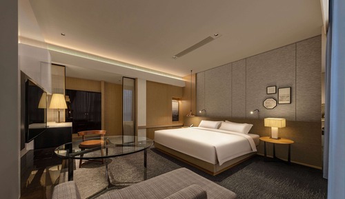 Room, 1 King Bed, Non Smoking, Bathtub