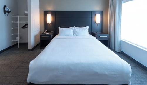 Studio, 1 King Bed with Sofa bed (Mobility Accessible, Roll-In Shower)