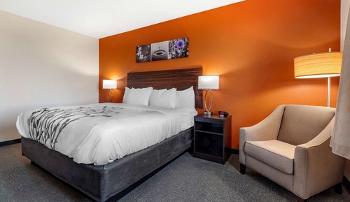 Suite, 1 King Bed with Sofa bed, Accessible, Non Smoking