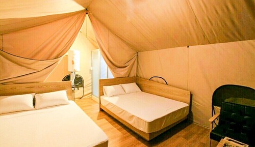 Room (Glamping Grass Room 3)
