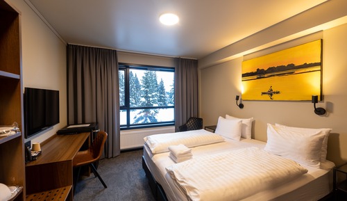 Double or Twin Room