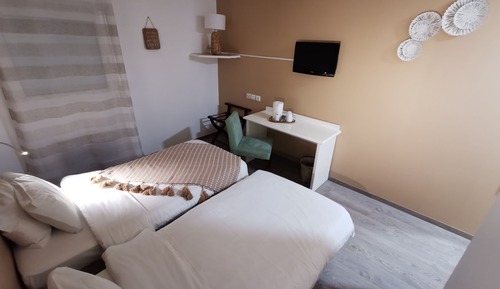 Superior Twin Room (2 person)