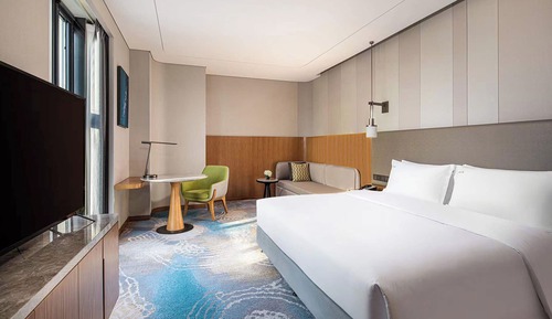 Standard Room, 1 King Bed with Sofa bed, Garden View
