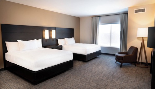 Studio Suite, Multiple Beds