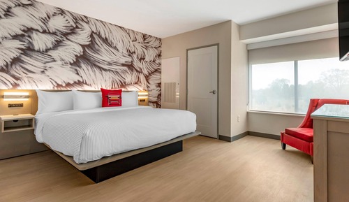 Suite, 1 King Bed with Sofa bed, Non Smoking