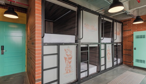 Shared Dormitory, Women only (8 Beds)