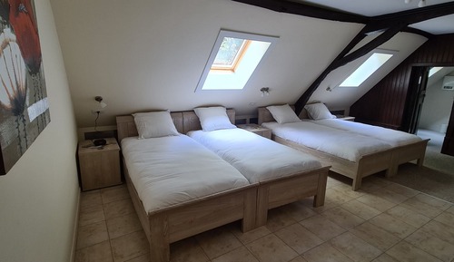 Quadruple Room, 4 Single Beds