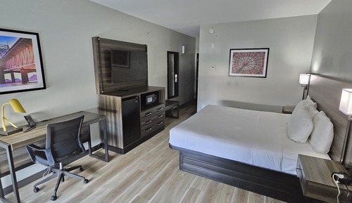 Room, 1 King Bed, Non Smoking