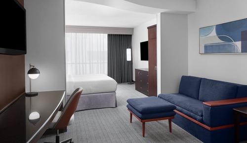 Suite, 1 King Bed with Sofa bed (Hearing Accessible)