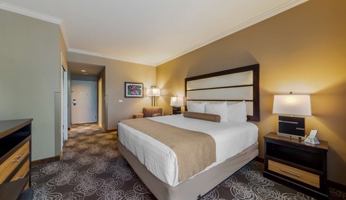 Standard Room, 1 King Bed, Non Smoking, Refrigerator & Microwave (Larger Room)