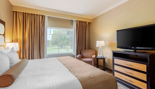 Standard Room, 1 King Bed, Non Smoking, Refrigerator & Microwave