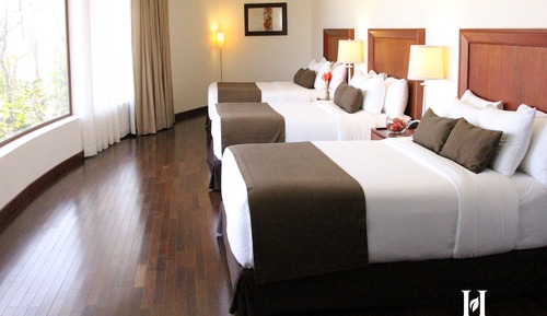 Premium Triple Room