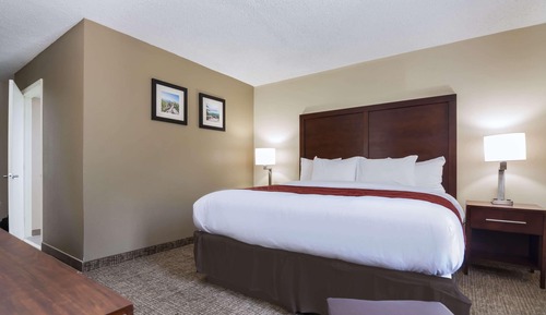 Room, 1 King Bed, Accessible, Non Smoking