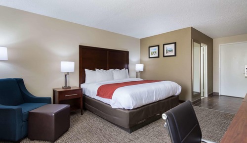 Standard Room, 1 King Bed, Non Smoking
