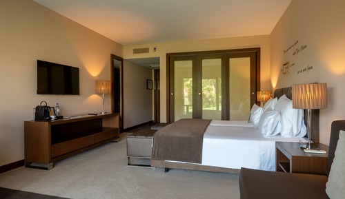 Double Room Single Use, Balcony