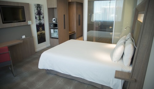 Room, 1 King Bed with Sofa bed, Mountain View