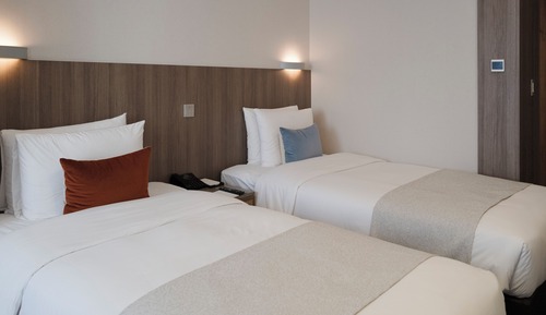 Standard Twin Room, Bathtub