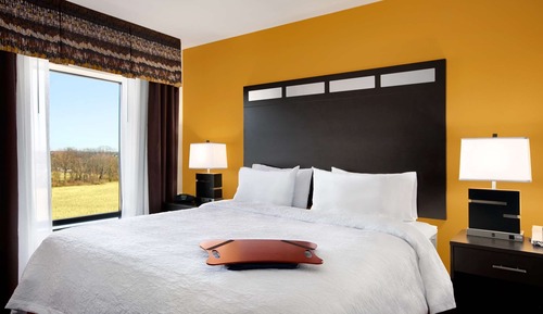 Studio, One King Bed