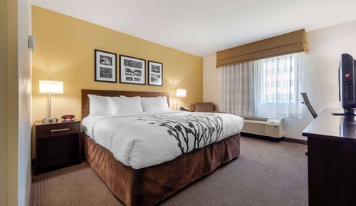 Standard Room, 1 King Bed, Non Smoking