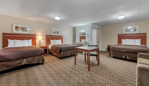 Superior Studio, Ensuite (2 Full XL+Queen+Kitchen)