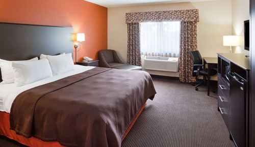 Room, 1 King Bed, Non Smoking