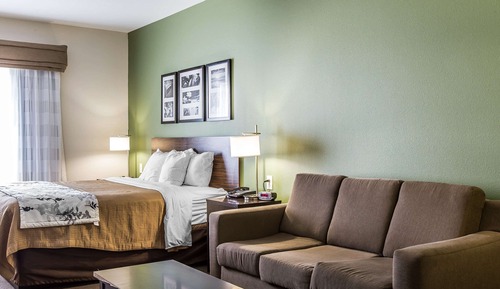 Suite, 1 King Bed with Sofa bed, Non Smoking