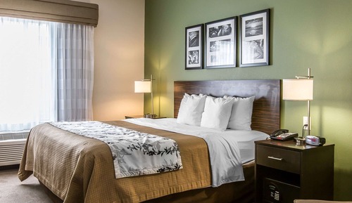 Standard Room, 1 King Bed, Non Smoking