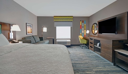 Room, 1 King Bed with Sofa bed, Refrigerator