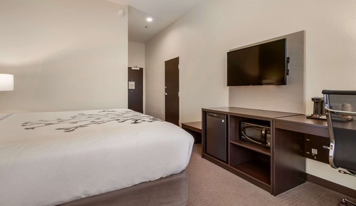 Room, 1 King Bed, Accessible, Non Smoking