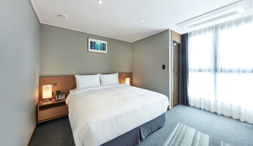 Business Suite, 1 Double Bed