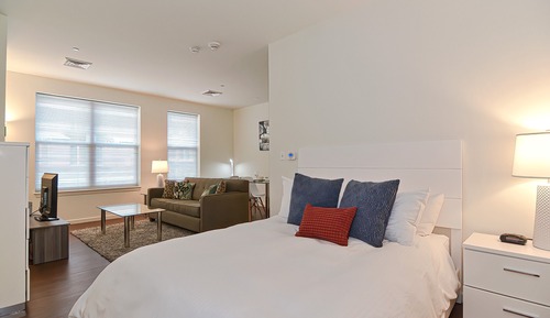 Luxury Studio, 1 Queen Bed with Sofa bed