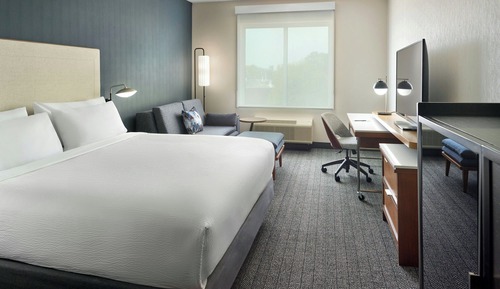 Room, 1 King Bed