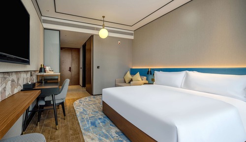 Basic Room, 1 King Bed