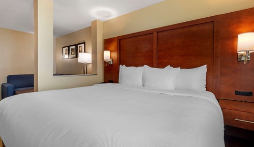 Standard Suite, 1 King Bed with Sofa bed, Non Smoking