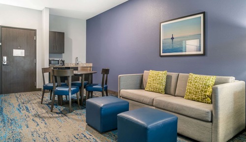 Suite, 1 King Bed with Sofa bed, Accessible, Non Smoking