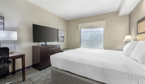 Suite, 1 King Bed, Refrigerator & Microwave (with Sofabed)