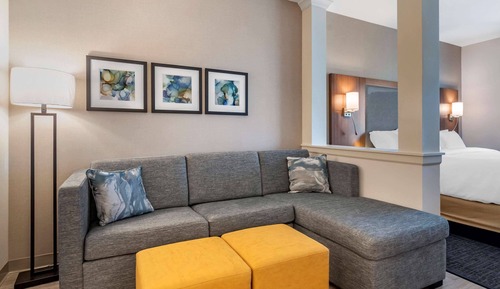 Suite, 1 King Bed, Accessible, Non Smoking (Accessible Tub)
