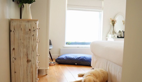 Double or Twin Room, Ensuite, Courtyard View (Pet Friendly Double/Twin)