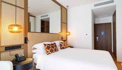 Executive Double or Twin Room, Business Lounge Access